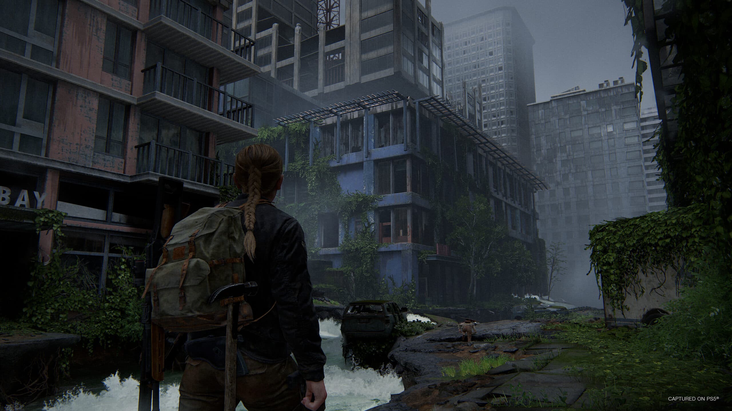 The Last of Us Part II Remastered thumbnail 6