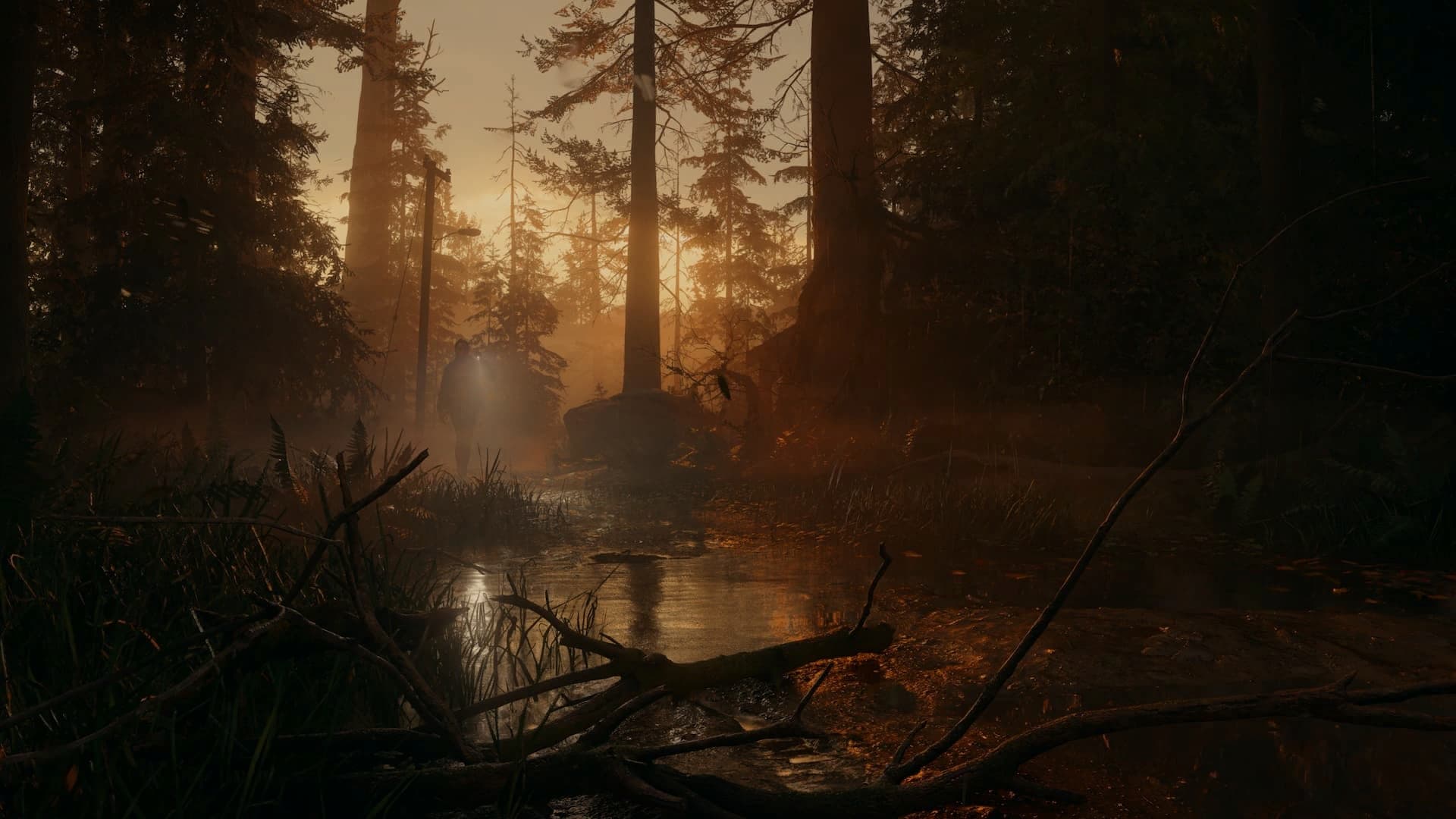 Alan Wake 2 thumbnail 3